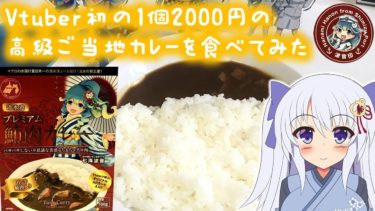 【静岡の新ご当地カレー？】1つ2000円の七海波音カレーを食べてみた